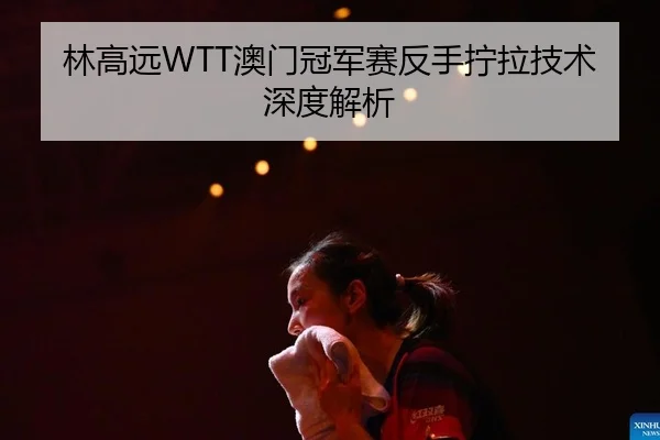 林高远WTT澳门冠军赛反手拧拉技术深度解析