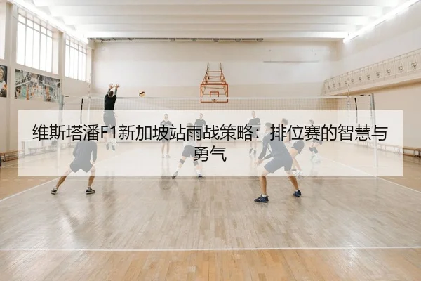 维斯塔潘F1新加坡站雨战策略：排位赛的智慧与勇气
